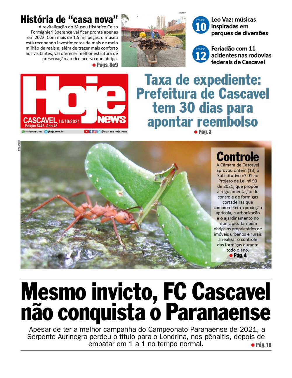 Edição 8447