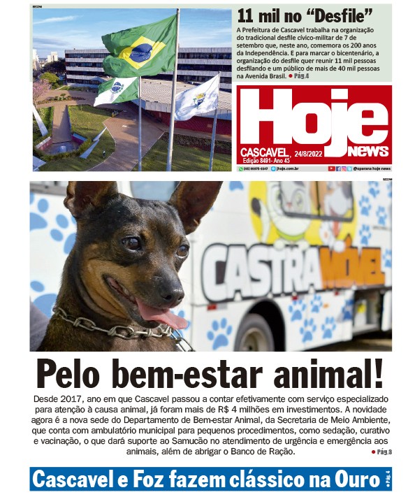 Edição 8491