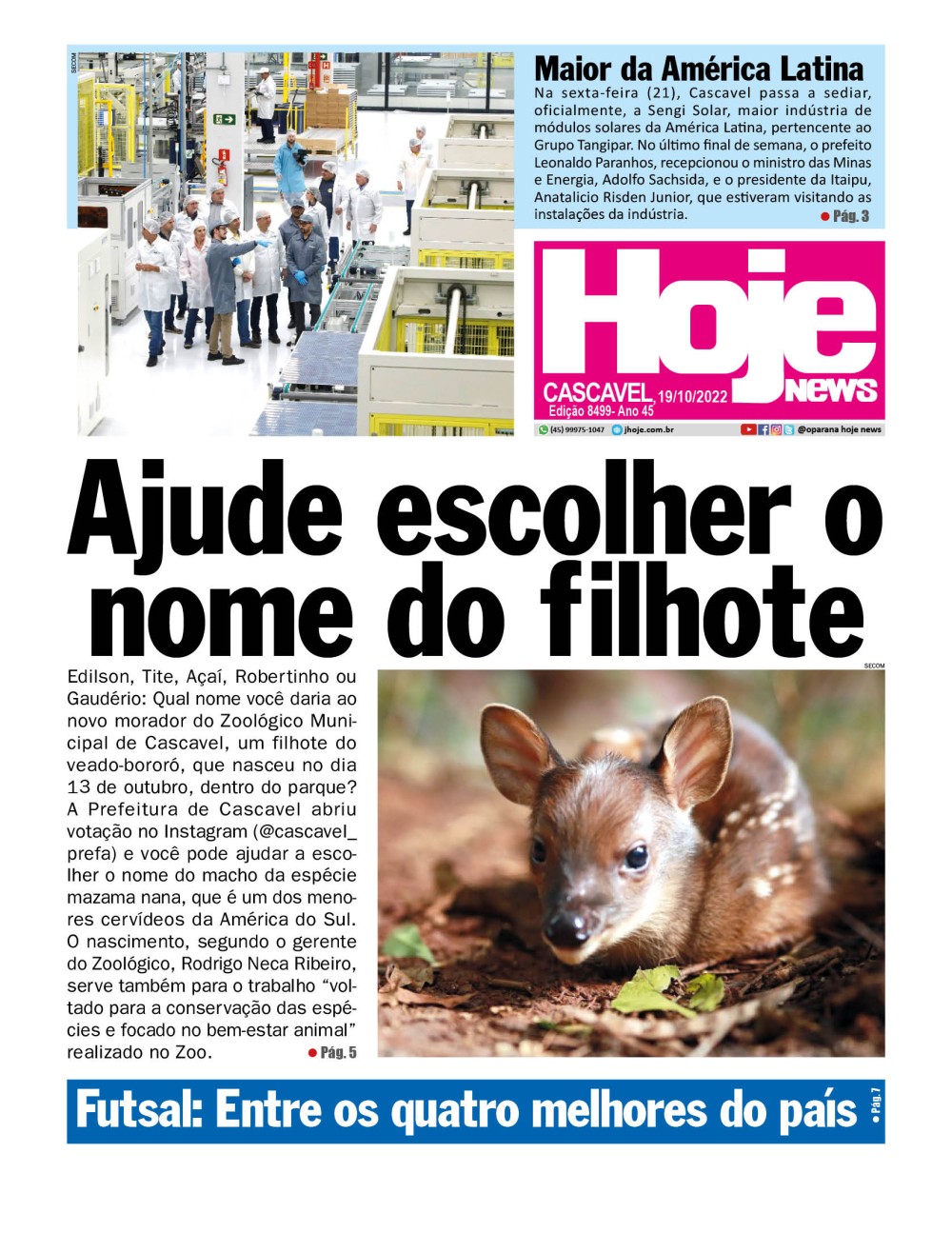 Edição 8499